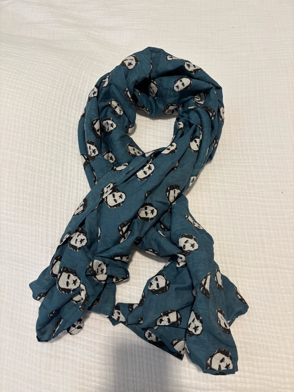 Edgar Allan Poe Scarf - Lightweight Fashion Accessory